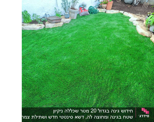 עציצים ואבנים בגינה עם דשא ירוק